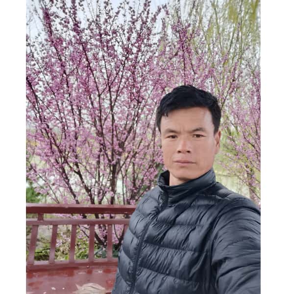 青海征婚相亲网
